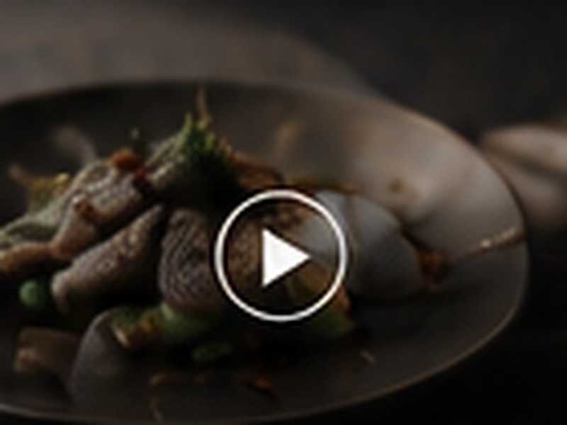 レストランの料理を紹介する映像シーン