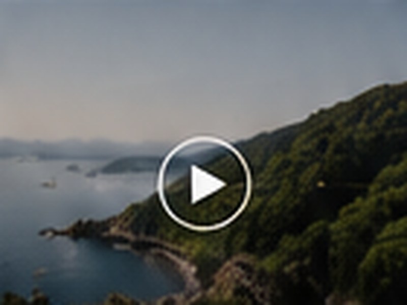 海沿いの地域を空撮したドキュメンタリー映像シーン